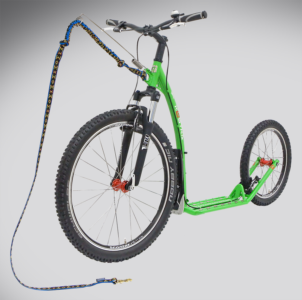 Mushing FUN G5 Dogscooter Leipzig